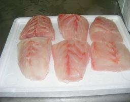 Lake Victoria Perch Portion
