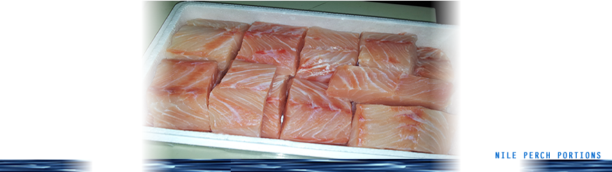 Fresh Nile perch Portions