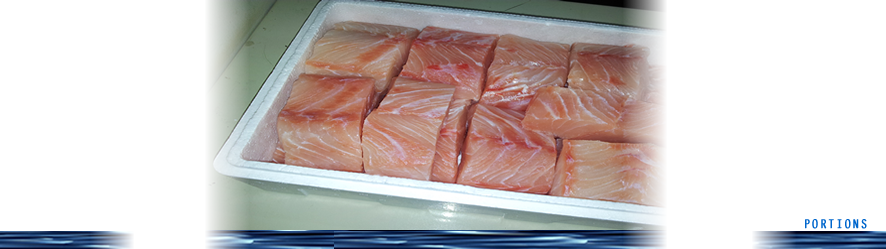 Fresh chilled perch portions